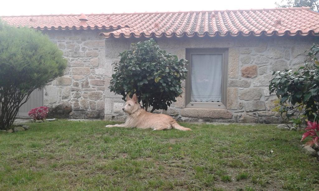 Casa Maria Da Assuncao Villa Вила Нова де Сервейра Стая снимка